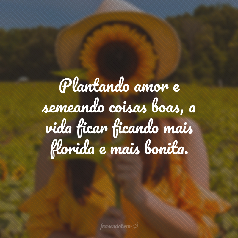 Plantando amor e semeando coisas boas, a vida ficar ficando mais florida e mais bonita.