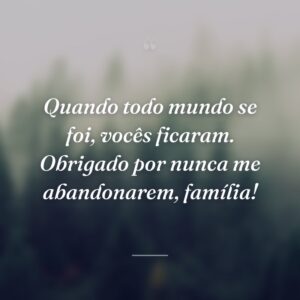 Quando todo mundo se foi, vocês ficaram. Obrigado por nunca me abandonarem, família!