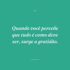 Quando você percebe que tudo é como deve ser, surge a gratidão.