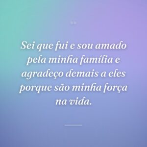 Sei que fui e sou amado pela minha família e agradeço demais a eles porque são minha força na vida.