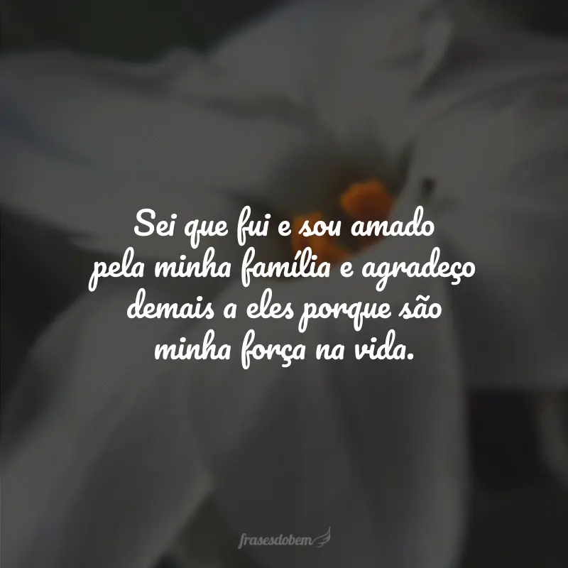 Sei que fui e sou amado pela minha família e agradeço demais a eles porque são minha força na vida.