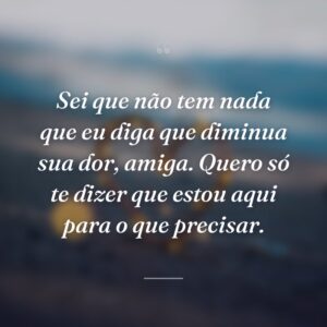 Sei que não tem nada que eu diga que diminua sua dor, amiga. Quero só te dizer que estou aqui para o que precisar.