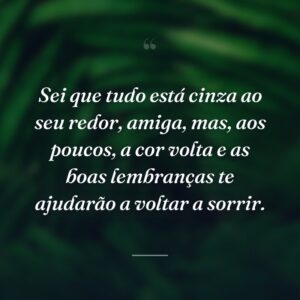 Sei que tudo está cinza ao seu redor, amiga, mas, aos poucos, a cor volta e as boas lembranças te ajudarão a voltar a sorrir.