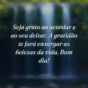 Seja grato ao acordar e ao seu deitar. A gratidão te fará enxergar as belezas da vida. Bom dia!