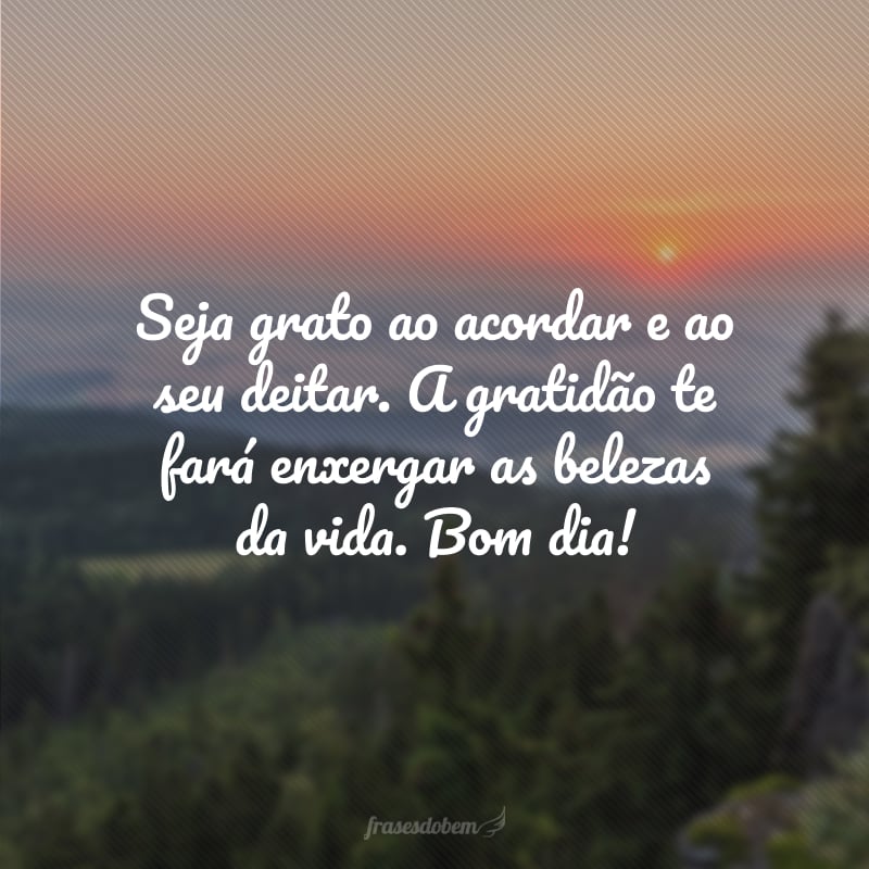 Seja grato ao acordar e ao seu deitar. A gratidão te fará enxergar as belezas da vida. Bom dia!