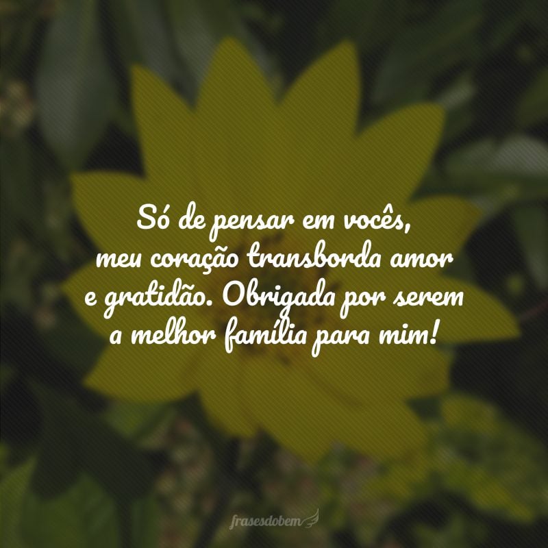 Só de pensar em vocês, meu coração transborda amor e gratidão. Obrigada por serem a melhor família para mim!