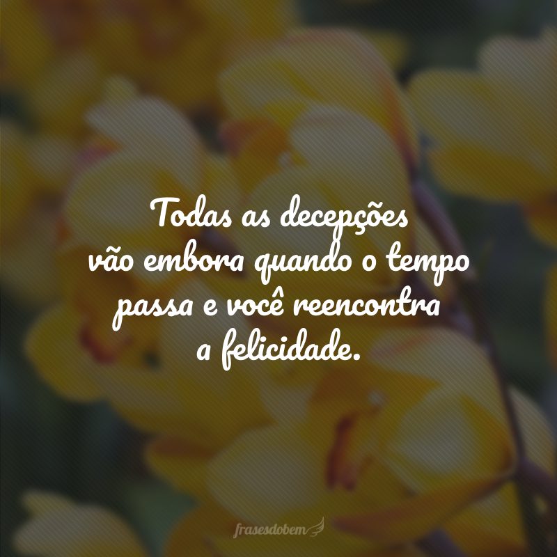 Todas as decepções vão embora quando o tempo passa e você reencontra a felicidade.