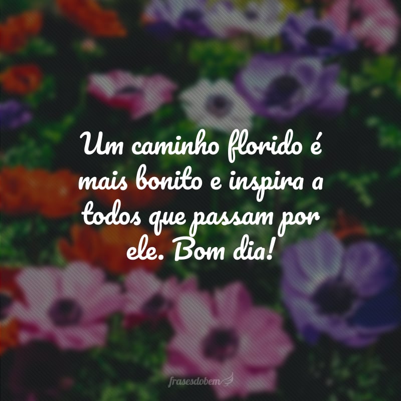Um caminho florido é mais bonito e inspira a todos que passam por ele. Bom dia!