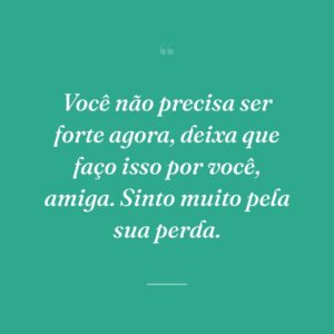 Você não precisa ser forte agora, deixa que faço isso por você, amiga. Sinto muito pela sua perda.