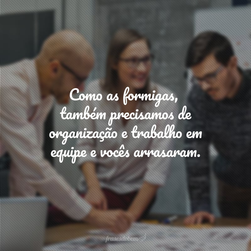 Como as formigas, também precisamos de organização e trabalho em equipe e vocês arrasaram.