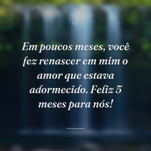 Em poucos meses, você fez renascer em mim o amor que estava adormecido. Feliz 5 meses para nós!