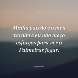 Minha paixão é o meu verdão e eu não meço esforços para ver o Palmeiras jogar.