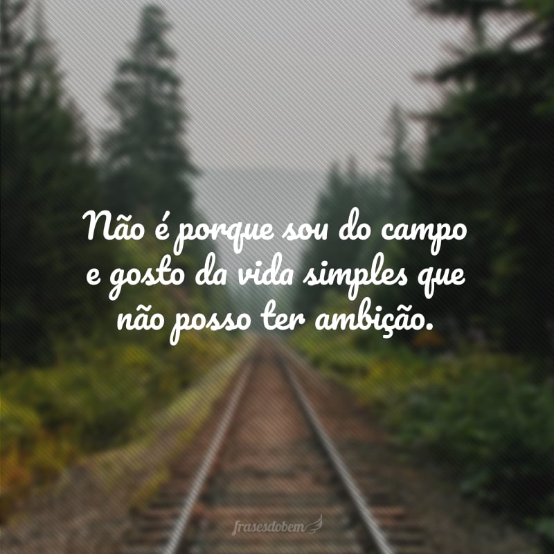 Não é porque sou do campo e gosto da vida simples que não posso ter ambição.