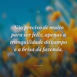 Não preciso de muito para ser feliz, apenas a tranquilidade do campo e a brisa da fazenda.
