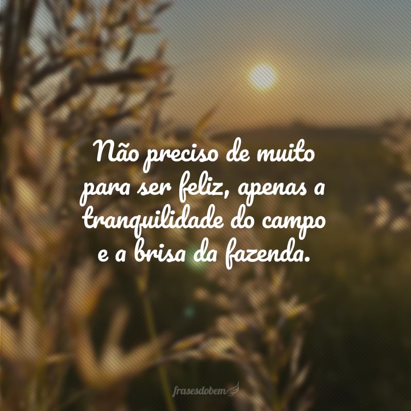 Não preciso de muito para ser feliz, apenas a tranquilidade do campo e a brisa da fazenda.