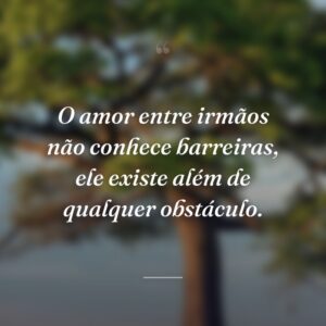 O amor entre irmãos não conhece barreiras, ele existe além de qualquer obstáculo.