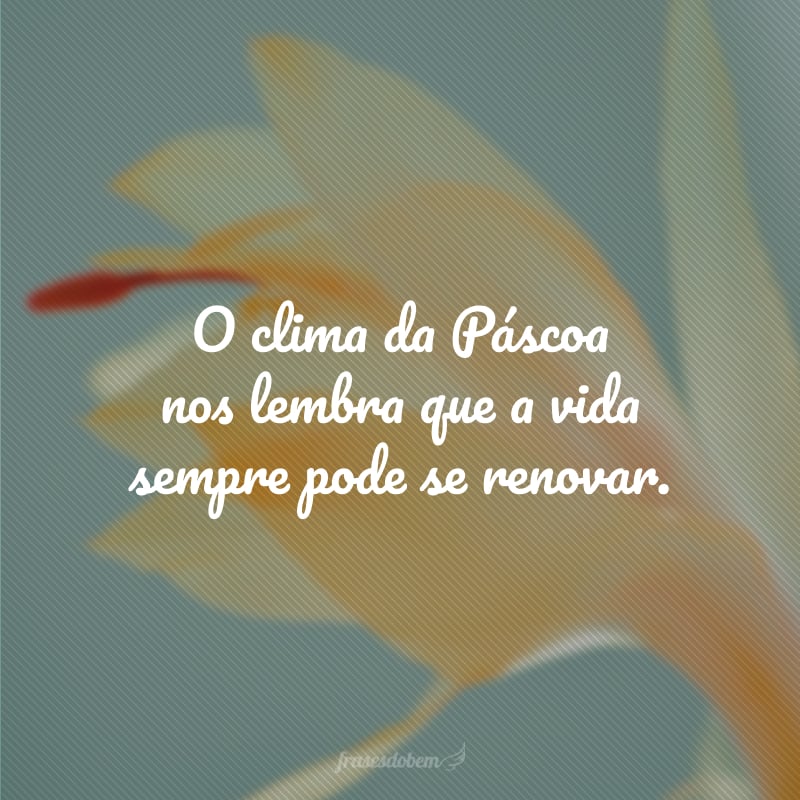 O clima da Páscoa nos lembra que a vida sempre pode se renovar.