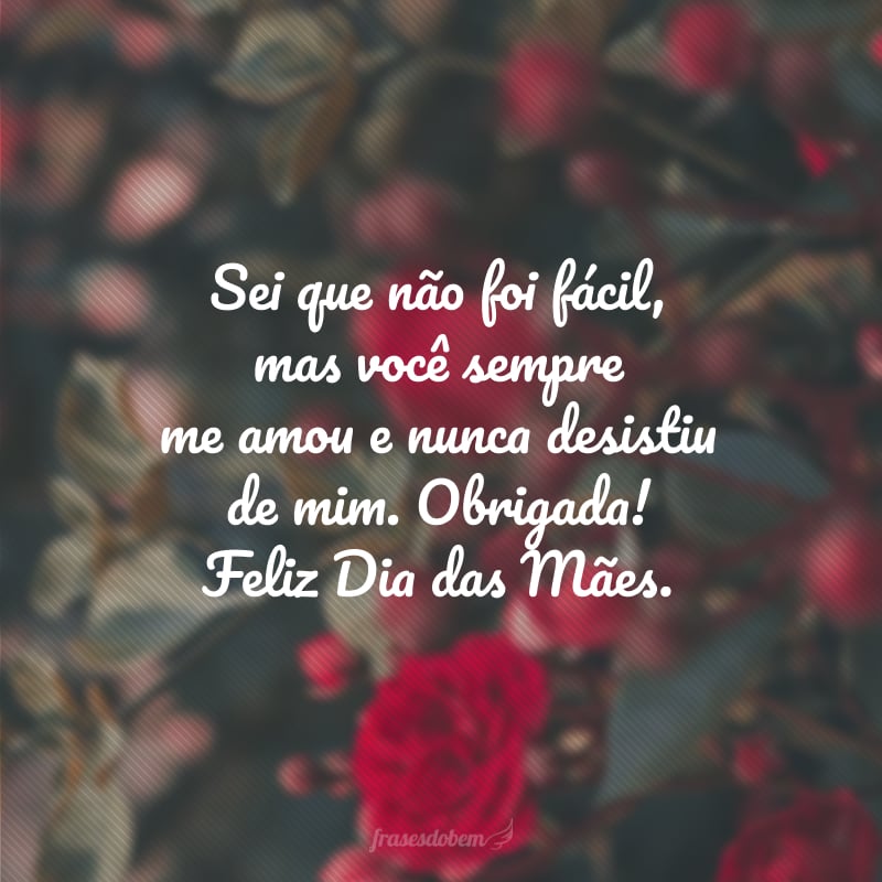 Sei que não foi fácil, mas você sempre me amou e nunca desistiu de mim. Obrigada! Feliz Dia das Mães.