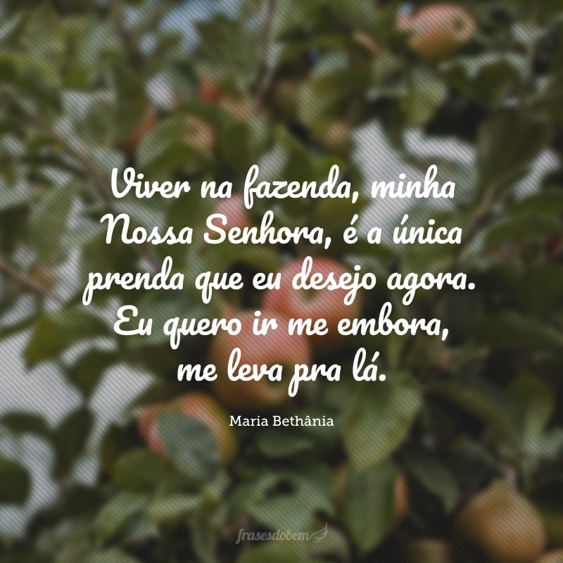 Viver na fazenda, minha Nossa Senhora, é a única prenda que eu desejo agora. Eu quero ir me embora, me leva pra lá.