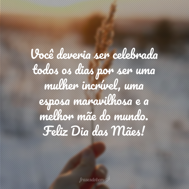 Você deveria ser celebrada todos os dias por ser uma mulher incrível, uma esposa maravilhosa e a melhor mãe do mundo. Feliz Dia das Mães!