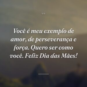 Você é meu exemplo de amor, de perseverança e força. Quero ser como você. Feliz Dia das Mães!