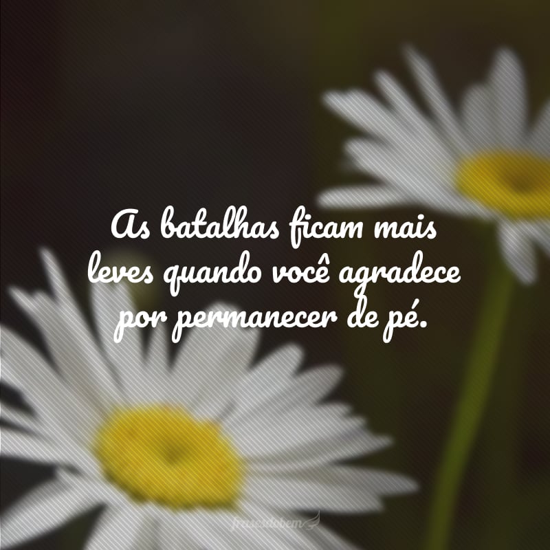 As batalhas ficam mais leves quando você agradece por permanecer de pé.