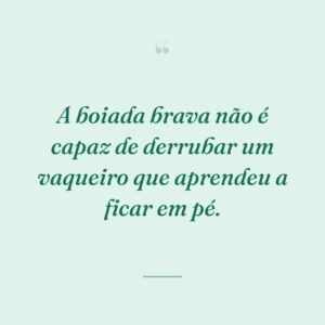 A boiada brava não é capaz de derrubar um vaqueiro que aprendeu a ficar em pé.