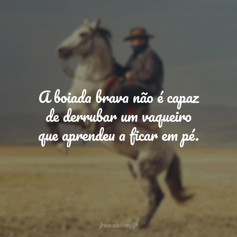 Puro Mato - A mulher toca o peão, o peão toca a boiada, a boiada toca o  rodeio dessa gente apaixonada.