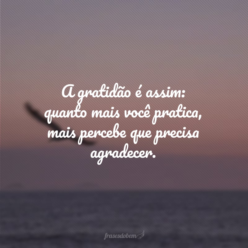 A gratidão é assim: quanto mais você pratica, mais percebe que precisa agradecer.