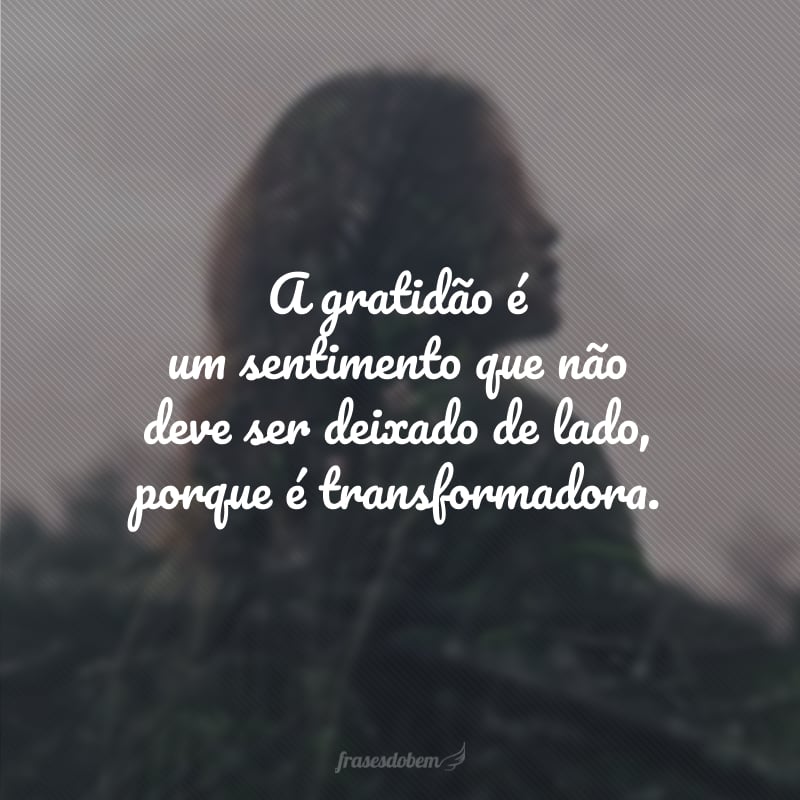 A gratidão é um sentimento que não deve ser deixado de lado, porque é transformadora.