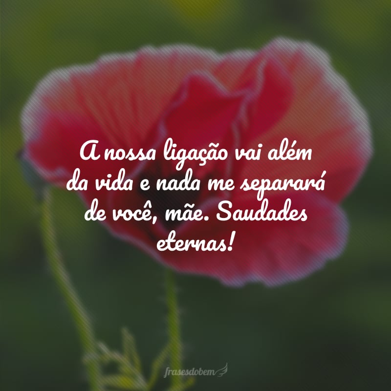 A nossa ligação vai além da vida e nada me separará de você, mãe. Saudades eternas!