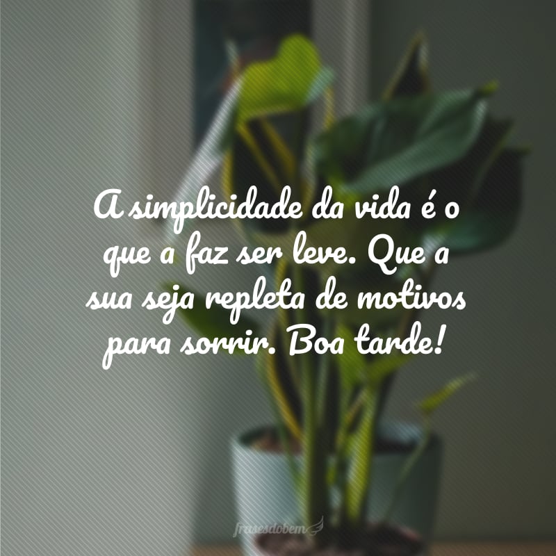 A simplicidade da vida é o que a faz ser leve. Que a sua seja repleta de motivos para sorrir. Boa tarde!