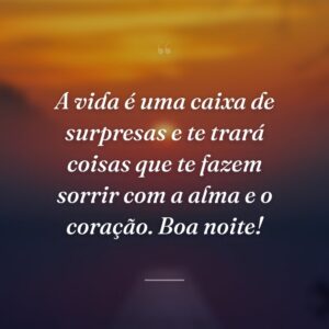 A vida é uma caixa de surpresas e te trará coisas que te fazem sorrir com a alma e o coração. Boa noite!