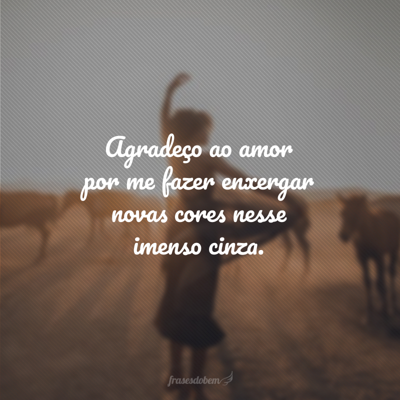 Agradeço ao amor por me fazer enxergar novas cores nesse imenso cinza.