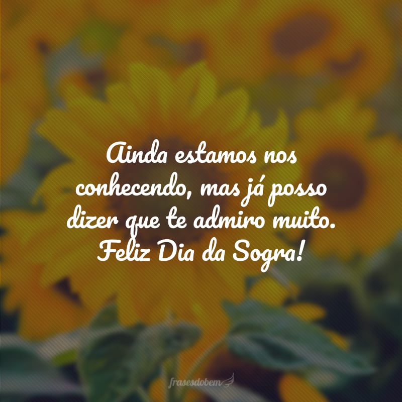 Ainda estamos nos conhecendo, mas já posso dizer que te admiro muito. Feliz Dia da Sogra!