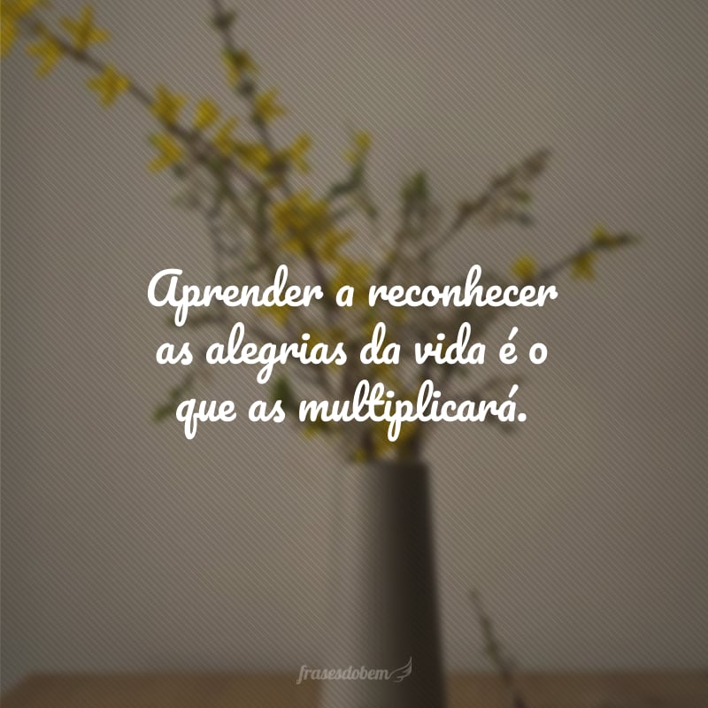 Aprender a reconhecer as alegrias da vida é o que as multiplicará.