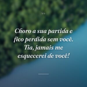 Choro a sua partida e fico perdida sem você. Tia, jamais me esquecerei de você!