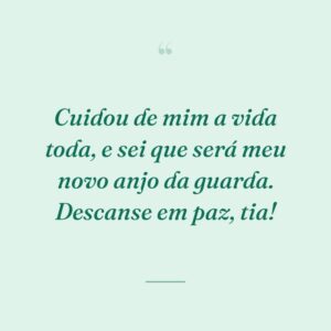 Cuidou de mim a vida toda, e sei que será meu novo anjo da guarda. Descanse em paz, tia!