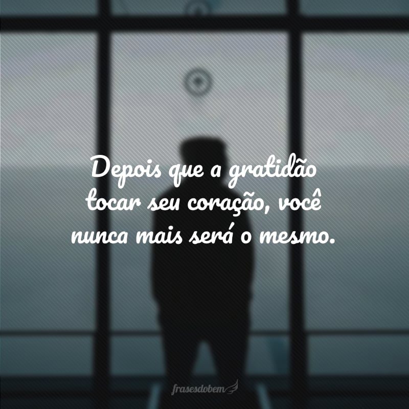 Depois que a gratidão tocar seu coração, você nunca mais será o mesmo.