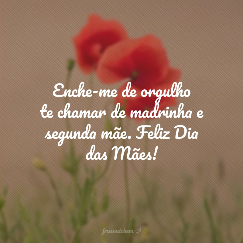 Enche-me de orgulho te chamar de madrinha e segunda mãe. Feliz Dia das Mães!