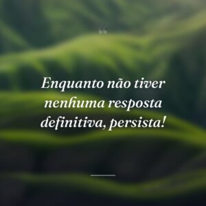 Enquanto não tiver nenhuma resposta definitiva, persista!