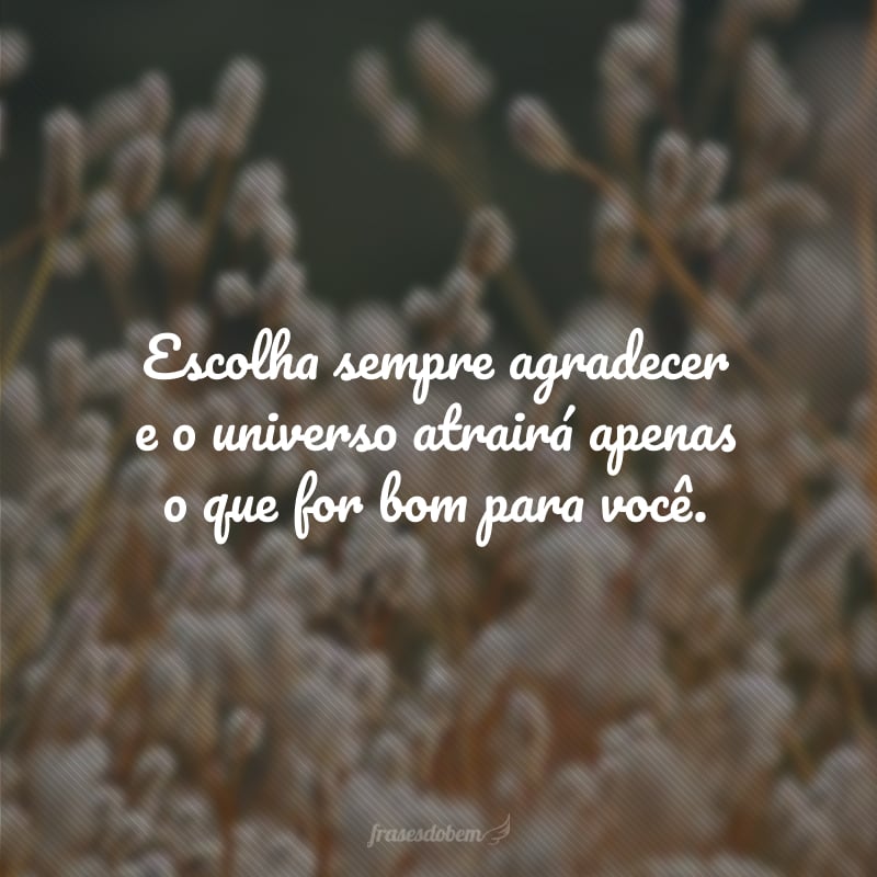 Escolha sempre agradecer e o universo atrairá apenas o que for bom para você.