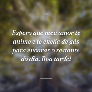 Espero que meu amor te anime e te encha de gás para encarar o restante do dia. Boa tarde!