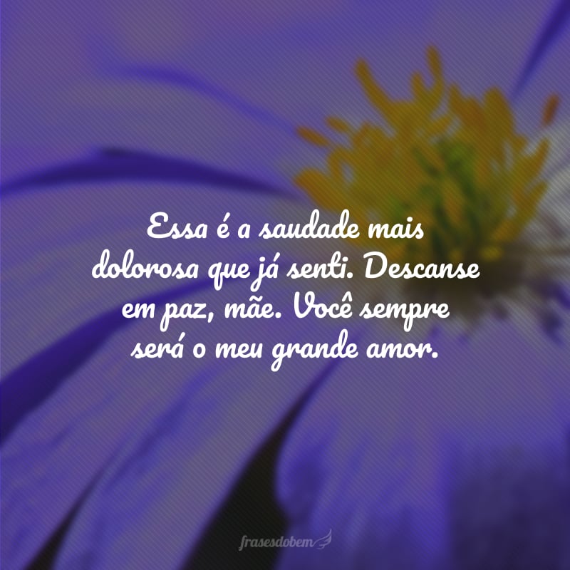 Essa é a saudade mais dolorosa que já senti. Descanse em paz, mãe. Você sempre será o meu grande amor.