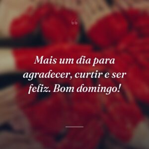 Mais um dia para agradecer, curtir e ser feliz. Bom domingo!