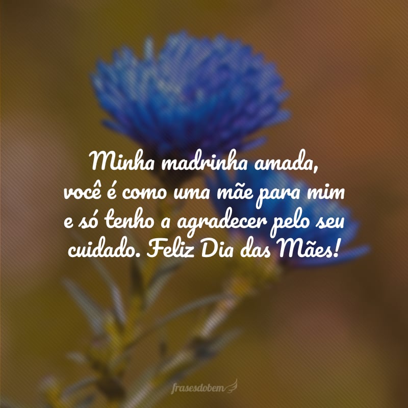 Minha madrinha amada, você é como uma mãe para mim e só tenho a agradecer pelo seu cuidado. Feliz Dia das Mães!