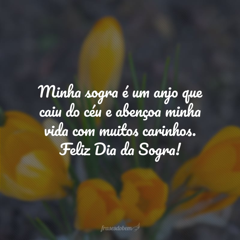 Minha sogra é um anjo que caiu do céu e abençoa minha vida com muitos carinhos. Feliz Dia da Sogra!