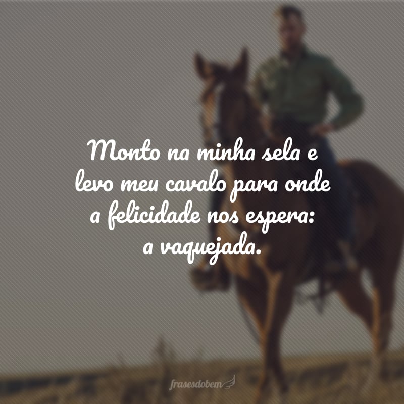 Monto na minha sela e levo meu cavalo para onde a felicidade nos espera: a vaquejada.