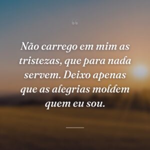 Não carrego em mim as tristezas, que para nada servem. Deixo apenas que as alegrias moldem quem eu sou.