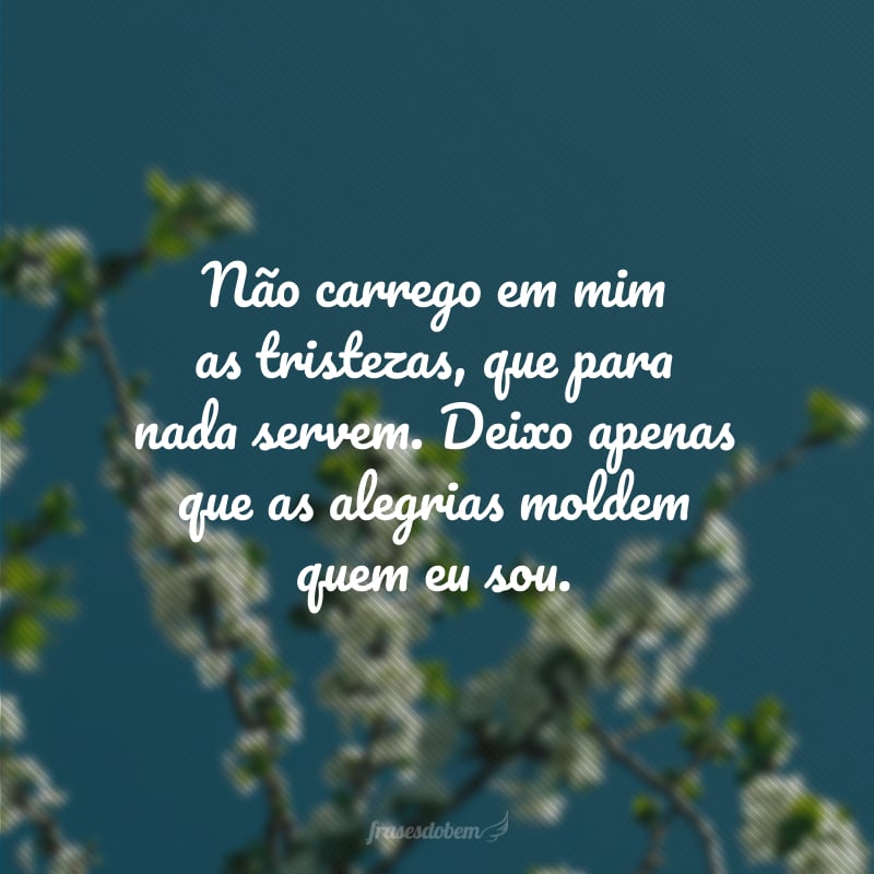 Não carrego em mim as tristezas, que para nada servem. Deixo apenas que as alegrias moldem quem eu sou.